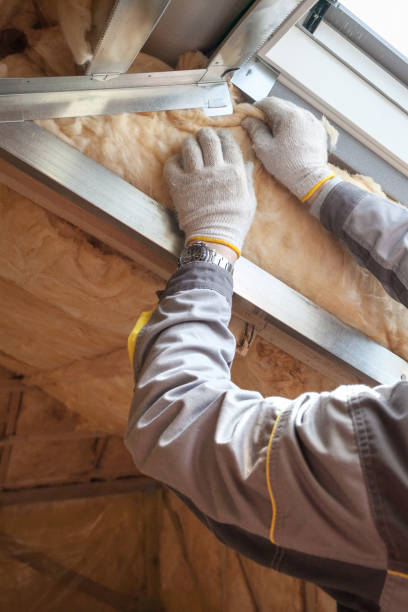 Insulation Repair Services in Fort Belvoir, VA