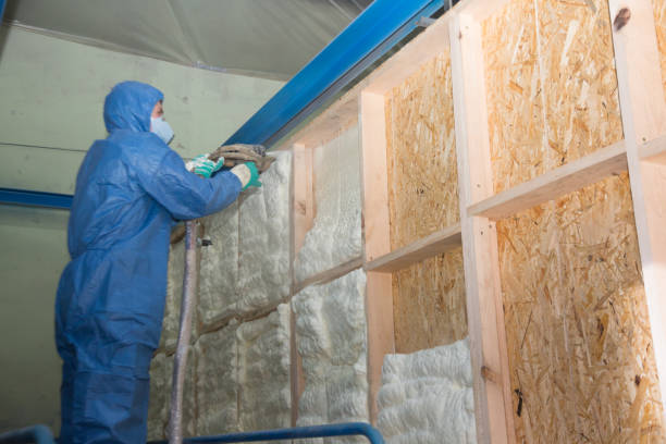 Best Insulation Contractors for Homes  in Fort Belvoir, VA