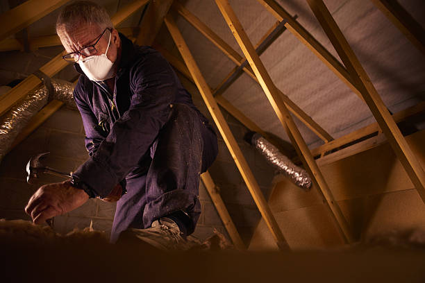 Best Insulation Replacement Services  in Fort Belvoir, VA